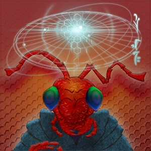 Veloxi