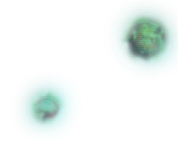 nebulae