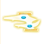 [Ship]