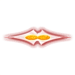 [Ship]
